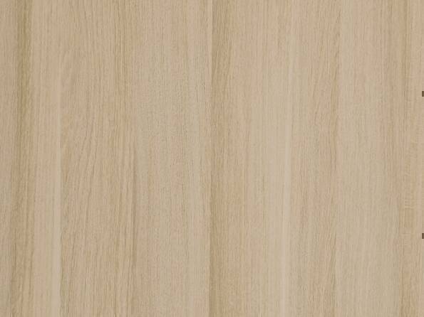 37745_Mongori Eiche_Detail.jpg